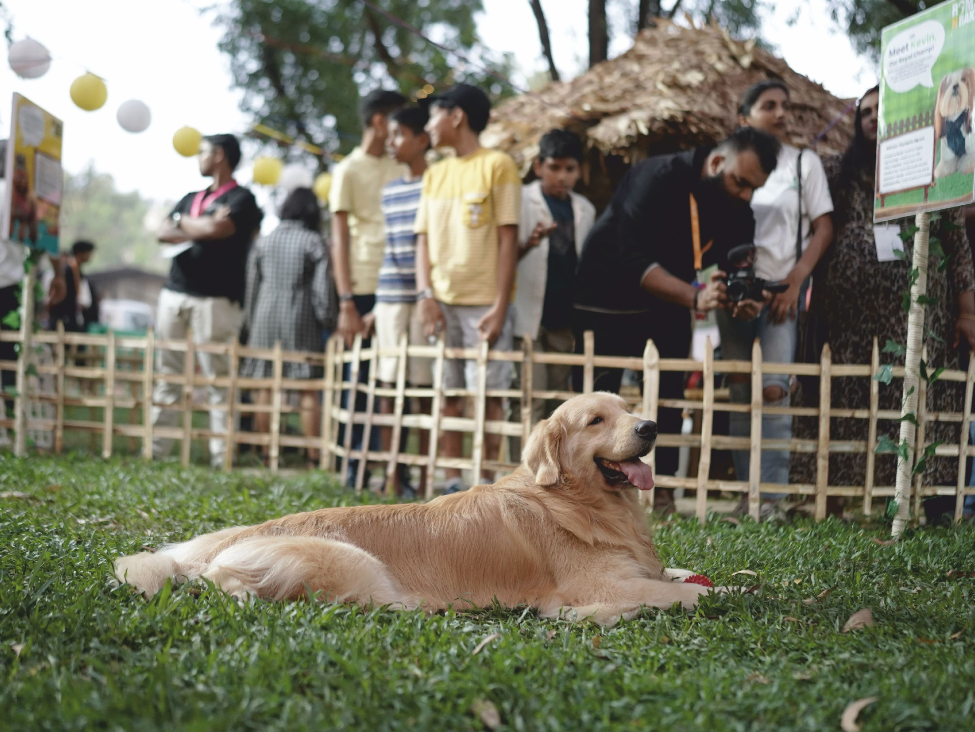 A featured Image for this section